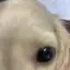 kahoのプロフィール画像