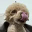 Kのプロフィール画像