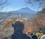 Shuneのプロフィール画像