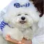 しーちゃんの妹のプロフィール画像