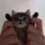 Rのプロフィール画像