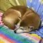 janeのプロフィール画像