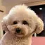 moiのプロフィール画像