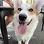 はるのプロフィール画像