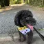 nozomiのプロフィール画像