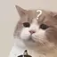 まるのプロフィール画像