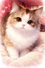 にゃんりーずのプロフィール画像