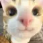 てやのプロフィール画像