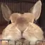 なつみのプロフィール画像