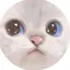 keityのプロフィール画像
