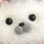 hpのプロフィール画像