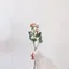 うなのプロフィール画像