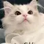 ゆかのプロフィール画像