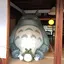 さっつんのプロフィール画像