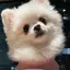 まちゅのプロフィール画像