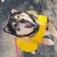 ゆいなのプロフィール画像