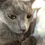 呂ちゃんのプロフィール画像