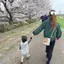 JUNKOのプロフィール画像