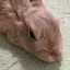 mariのプロフィール画像
