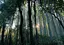 早恵のプロフィール画像