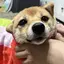 恵梨香のプロフィール画像