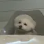 쿠야のプロフィール画像
