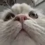 なーちゃんのプロフィール画像
