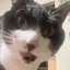 きらりのプロフィール画像