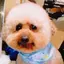 mのプロフィール画像