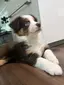 そぼろのプロフィール画像