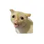 Miuのプロフィール画像