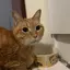 YUKIのプロフィール画像