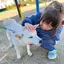 もこもこ🐏のプロフィール画像
