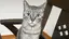りののプロフィール画像