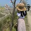 Aoiのプロフィール画像