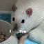 アヲのプロフィール画像