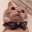みーのプロフィール画像