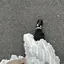 もものプロフィール画像