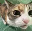 akiのプロフィール画像