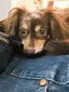 chieのプロフィール画像