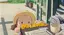 めいのプロフィール画像