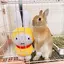 なちゃんのプロフィール画像