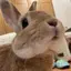 あやのプロフィール画像