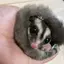 ntkのプロフィール画像