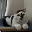 kikuのプロフィール画像
