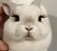 sakuのプロフィール画像