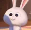 コムギのプロフィール画像