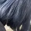 はるぴのプロフィール画像