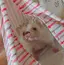 あいのプロフィール画像