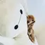 RiNのプロフィール画像